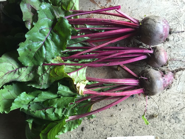 Try My 7 Best Beet Recipes